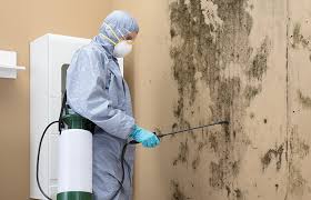 Trusted Trevorton, PA Mold Prevention & Removal  Experts